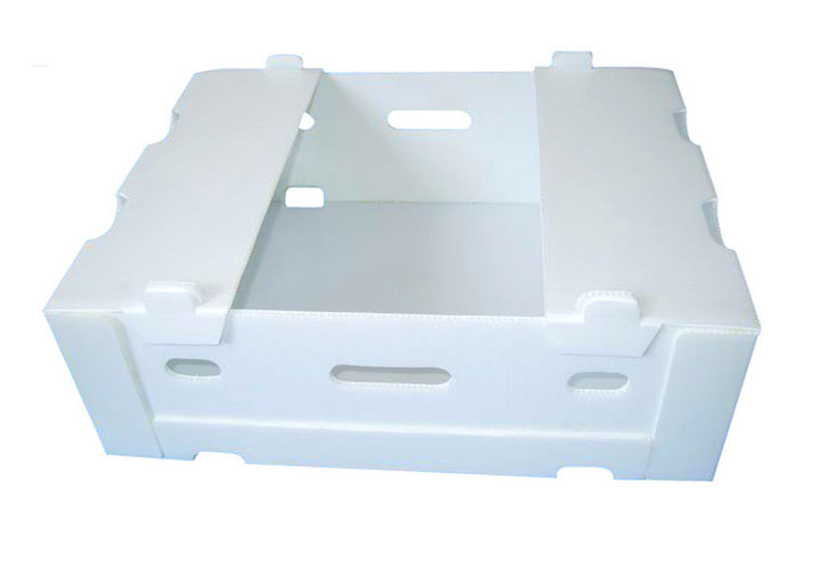 1---副本.jpg 1---副本.jpg